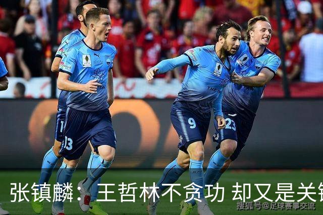 张镇麟：王哲林不贪功 却又是关键时刻能站出来的人 队长当之无愧