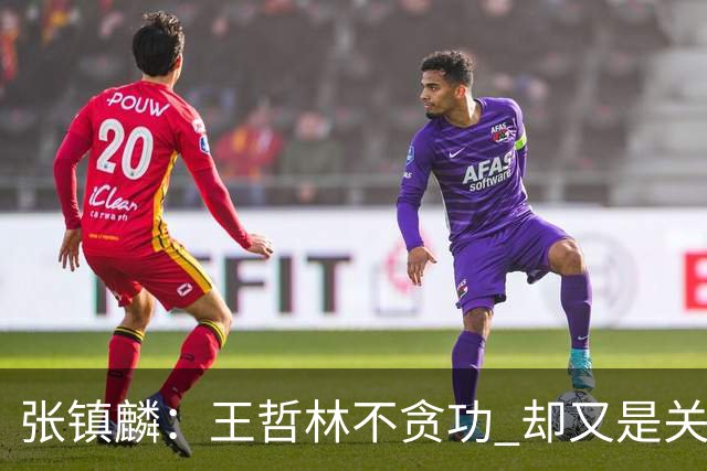 张镇麟：王哲林不贪功 却又是关键时刻能站出来的人 队长当之无愧